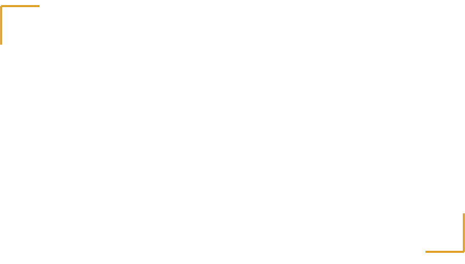 The Fortify Initiative
